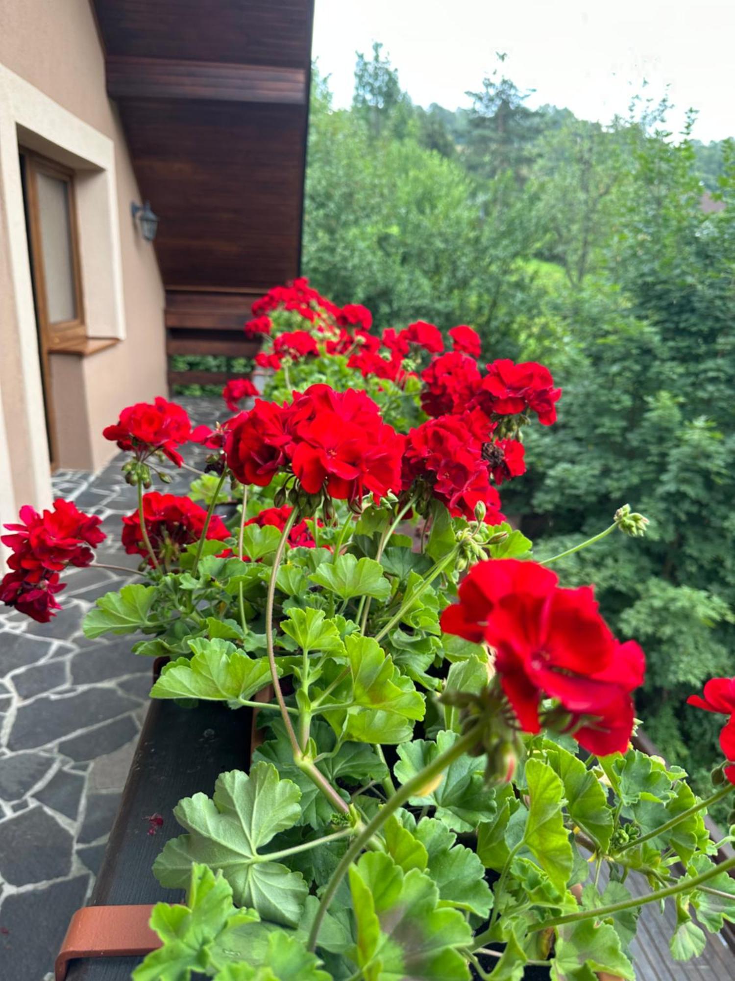 Holiday Home Skalka Mýto pod Ďumbierom Eksteriør billede